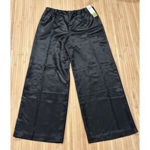Coldwater Creek NEW Pants Women’s 14 32 x 30.5 Black Dressy Party Satin $69